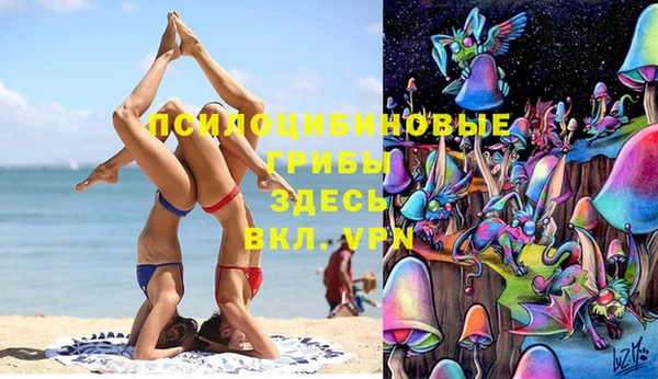 PSILOCYBIN Новодвинск
