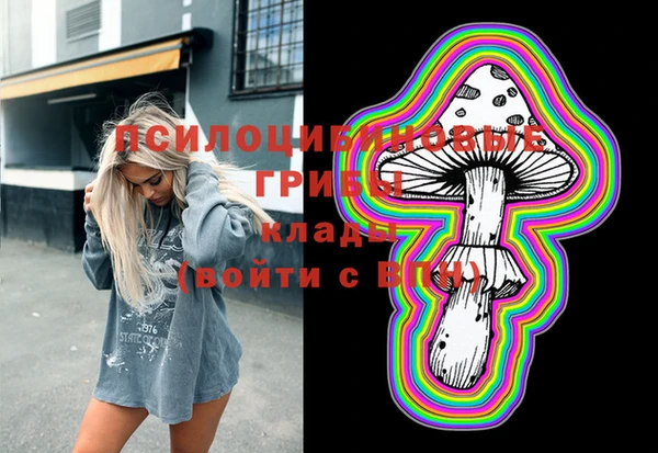 молекула духа Пролетарск