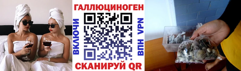 Галлюциногенные грибы Psilocybine cubensis Спас-Клепики